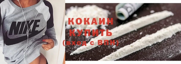 дживик Магас