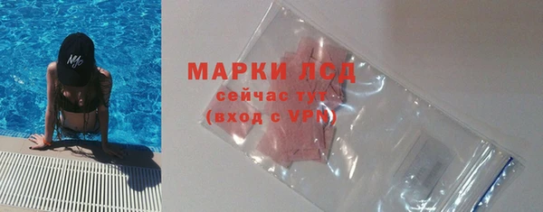 стаф Магадан