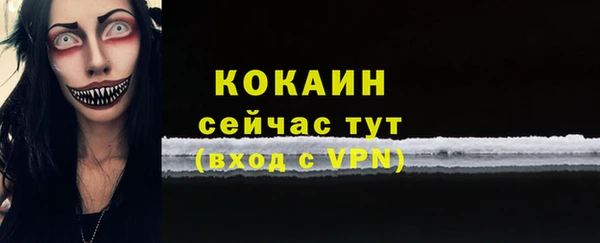 дживик Магас