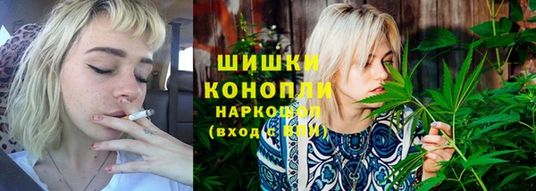 стаф Магадан