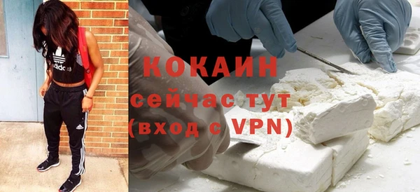 дживик Магас
