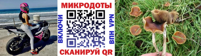 где найти наркотики Челябинск Галлюциногенные грибы MAGIC MUSHROOMS